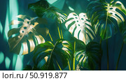 house swiss cheese plant ai generated. Стоковое AI-изображение, AI-художник Vectorwin / Фотобанк Лори
