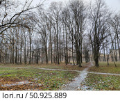Парк у Кайсарова ручья в Вологде, первый снег (2023 год). Стоковое фото, фотограф Мария Сергеева / Фотобанк Лори