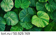 edible taro leaves ai generated. Стоковое AI-изображение, AI-художник Vectorwin / Фотобанк Лори