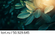 foliage dreamy leaves ai generated. Стоковое AI-изображение, AI-художник Vectorwin / Фотобанк Лори
