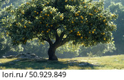 hedge osage orange tree ai generated. Стоковое AI-изображение, AI-художник Vectorwin / Фотобанк Лори