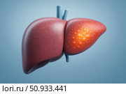 Detailed Anatomical Rendering of a Healthy Human Liver Illustrating Its Structure, Function, and Significance in the Digestive System. Стоковое AI-изображение, AI-художник Башкирова Анна / Фотобанк Лори