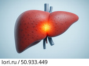 Detailed Illustration of a Human Liver Highlighting Its Structure and Functions in the Digestive System Explained with Clear Visuals and Emphasis on Health Importance. Стоковое AI-изображение, AI-художник Башкирова Анна / Фотобанк Лори