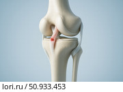 Detailed Anatomical Illustration of a Human Knee Joint Highlighting Muscles, Tendons, and Ligaments with Emphasis on Injury and Motion Mechanics. Стоковое AI-изображение, AI-художник Башкирова Анна / Фотобанк Лори