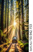 Off-Road Adventure Through Sun-Dappled Forest. Generative AI. Стоковое AI-изображение, AI-художник Roman Zavorotny / Фотобанк Лори