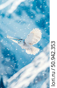 Winter wildlife theme: A majestic snowy owl soaring through a snow flurry, perfect for nature print, poster. Стоковое AI-изображение, AI-художник Данила Большаков / Фотобанк Лори