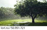 samanea rain tree ai generated. Стоковое AI-изображение, AI-художник Vectorwin / Фотобанк Лори