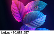 fusion merging leaf ai generated. Стоковое AI-изображение, AI-художник Vectorwin / Фотобанк Лори