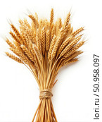 A Sheaf of Golden Rye Grain Tied With Twine Against a White Background. Generative AI. Стоковое AI-изображение, AI-художник Roman Zavorotny / Фотобанк Лори