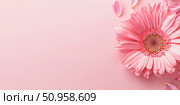 Top view of blooming pink gerbera flowers on pastel background with light bokeh effect. Soft focus, romantic mood. Spring holiday concept. Ideal for greeting cards or wedding banners. Copy space. Стоковое AI-изображение, AI-художник Евгений Демидюк / Фотобанк Лори