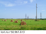 Рулоны сена в поле на фоне синего неба. Стоковое фото, фотограф Сергей Овчинников / Фотобанк Лори