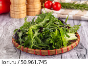 Fresh green ruccola salad leaves. Стоковое фото, фотограф Андрей Старостин / Фотобанк Лори
