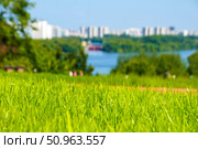 Young green grass against the background of residential buildings. Стоковое фото, фотограф Ярославский Максим / Фотобанк Лори
