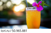 Refreshing tropical drink with a vibrant flower decoration at golden hour, perfect for a summer vacation or resort advertisement. Стоковое AI-изображение, AI-художник Данила Большаков / Фотобанк Лори