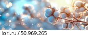 Enchanting close-up of delicate frosted cotton bolls sparkling with snow, beautifully illuminated by a warm golden sunflare and surrounded by ethereal blue and gold bokeh lights. Стоковое AI-изображение, AI-художник Данила Большаков / Фотобанк Лори