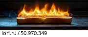 Dramatic close-up of a single slice of toast actively engulfed in vibrant orange and yellow flames, with subtle blue smoke emerging, showcasing a striking culinary fiery mishap or extreme over-toasting against a dark background. Стоковое AI-изображение, AI-художник Данила Большаков / Фотобанк Лори