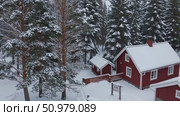 Snowy Scandinavian red wooden farmhouse and outbuilding nestled among snow covered pine trees, featuring property sale signage. Стоковое AI-видео, аниматор Данил Руденко / Фотобанк Лори
