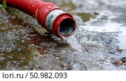 Red Hose Pouring Water onto Ground, Close-up Detail. Стоковое AI-изображение, AI-художник Данила Большаков / Фотобанк Лори