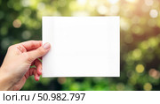 Hand holding blank card against blurred green background / Рука держит пустую карточку на фоне зелени с боке. Стоковое AI-изображение, AI-художник DeFusum / Фотобанк Лори