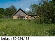 View of a traditional outbuilding with a gate made of local limestone flagstone on a sunny summer day, Izborsk, Pskov region, Russia. Стоковое фото, фотограф Ula Ulachka / Фотобанк Лори