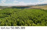 Bannoe Center, Russian Federation - July 27, 2025: Expansive aerial view of lush green forest and rolling hills under bright blue sky showcasing natural beauty and tranquility. Редакционное видео, видеограф Ирина Ручушкина / Фотобанк Лори