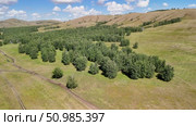 Bannoe Center, Russian Federation - July 27, 2025: Expansive aerial view of lush green forest and rolling hills under bright blue sky showcasing natural beauty and tranquility. Редакционное видео, видеограф Ирина Ручушкина / Фотобанк Лори