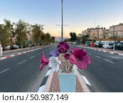 Street with a median strip in a residential area. Редакционное фото, фотограф Irina Opachevsky / Фотобанк Лори