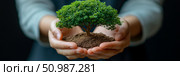 Hands carefully nurturing small, vibrant green tree with rich soil, symbolizing environmental care, growth, and sustainable future. Стоковое AI-изображение, AI-художник Данила Большаков / Фотобанк Лори