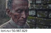 Weathered elderly priest with traditional markings standing pensively among ancient stone ruins, soft morning mist enveloping deeply spiritual landscape. Стоковое AI-видео, аниматор Данил Руденко / Фотобанк Лори