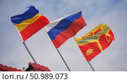 Флаги Ростовской области, Российской Федерации, Семикаракорского района. Стоковое фото, фотограф Семён Прудий / Фотобанк Лори