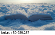 Open Book Buried in a Snowy Field at Sunset. Стоковое AI-изображение, AI-художник Данила Большаков / Фотобанк Лори