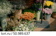 A flower shop on the street. Стоковое видео, видеограф Tatiana Malinsky / Фотобанк Лори