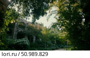 Ancient ruins in the botanical garden. Стоковое видео, видеограф Tatiana Malinsky / Фотобанк Лори