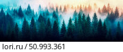 Enchanted Forest at Dawn: Misty Pines in a Dreamlike Setting. Стоковое AI-изображение, AI-художник Данила Большаков / Фотобанк Лори