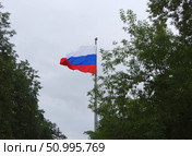 Самый большой (в области) флаг России на самом высоком (в области) флагштоке. Свердловская область, Нижний Тагил, аллея Победителей. Стоковое фото, фотограф Алексей Иванов / Фотобанк Лори