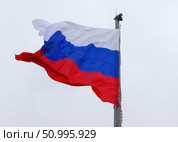 Самый большой (в Свердловской области) флаг России. Свердловская область, Нижний Тагил, аллея Победителей. Стоковое фото, фотограф Алексей Иванов / Фотобанк Лори