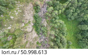 Aerial perspective of lush forest featuring diverse green trees and patches of lighter foliage, emphasizing the rich textures and vibrant colors of nature. Стоковое видео, видеограф Ирина Ручушкина / Фотобанк Лори