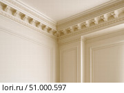 Elegant Interior Design Featuring Ornate Ceiling Cornice and Molding in a Softly Lit Room Instantly Elevating the Atmosphere with Classic Style. Стоковое AI-изображение, AI-художник Башкирова Анна / Фотобанк Лори