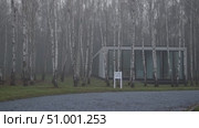Sleek contemporary residence positioned among silver birch trees, soft morning mist enveloping architectural lines, conveying peaceful modern living environment. Стоковое AI-видео, аниматор Данил Руденко / Фотобанк Лори