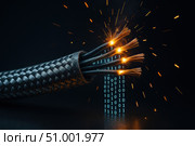 Dynamic Fusion of Electrical Cables and Digital Data Representations Highlighting Innovation in Technology and Wiring Processes. Стоковое AI-изображение, AI-художник Башкирова Анна / Фотобанк Лори