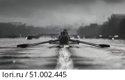 Rowing team training on river in black and white. Стоковое AI-видео, аниматор Юрий Поздников / Фотобанк Лори