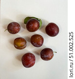Фрукты. Семь слив на белом фоне. Seven plums on a white background. Стоковое фото, фотограф Александр Рыбалка / Фотобанк Лори