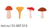 Set of mushroom icons. Illustration of boletus, chanterelles, honey mushrooms, aspen mushroom and russula. Стоковая иллюстрация, иллюстратор Глущенко Елена / Фотобанк Лори
