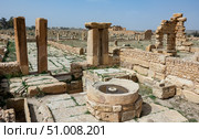 Ruins of ancient Sufetula town, modern Sbeitla, Tunisia. Стоковое фото, фотограф Яков Филимонов / Фотобанк Лори