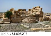 Christian church with 2 choirs, eglise chretienne, ruins of the ancient Sufetula town, Sbeitla, Tunisia. Стоковое фото, фотограф Яков Филимонов / Фотобанк Лори