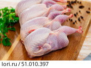 Raw gutted quails and condiments prepared for cooking on wooden table. Стоковое фото, фотограф Яков Филимонов / Фотобанк Лори