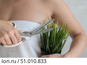 Unrecognizable woman shears a potted plant with scissors. Close-up depilation of armpits. Faceless girl removes unwanted vegetation on the body. Armpit epilation concept. Cropped photo. Стоковое фото, фотограф Михаил Решетников / Фотобанк Лори