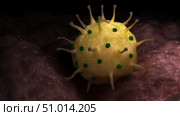 Conceptual biomedical illustration of genital herpes on surface. Стоковое фото, фотограф Stocktrek Images, Inc. / ТАСС / Фотобанк Лори