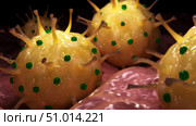 Conceptual biomedical illustration of genital herpes on surface. Стоковое фото, фотограф Stocktrek Images, Inc. / ТАСС / Фотобанк Лори