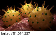 Conceptual biomedical illustration of genital herpes on surface. Стоковое фото, фотограф Stocktrek Images, Inc. / ТАСС / Фотобанк Лори